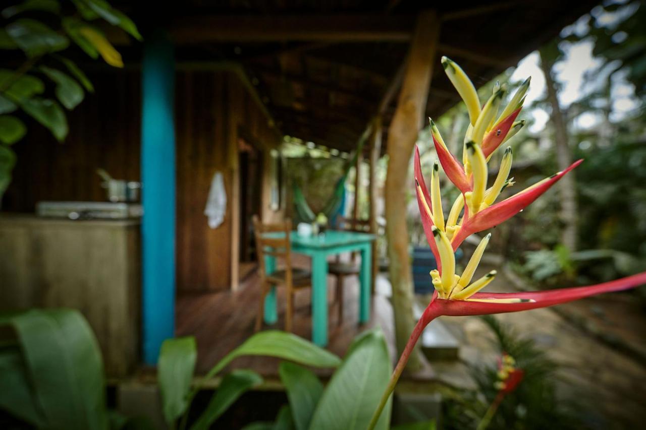 Casa Vana Hiriketiya ディックウェラ エクステリア 写真